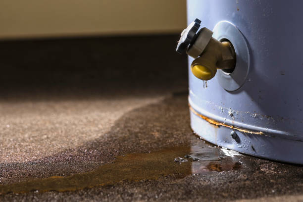 Best Carpet water damage restoration  in Dobbs Ferry, NY
