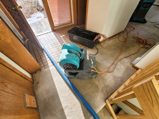Best Flooded house restoration  in Dobbs Ferry, NY