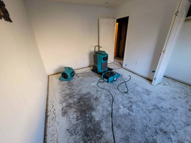 Best Residential water damage restoration  in Dobbs Ferry, NY