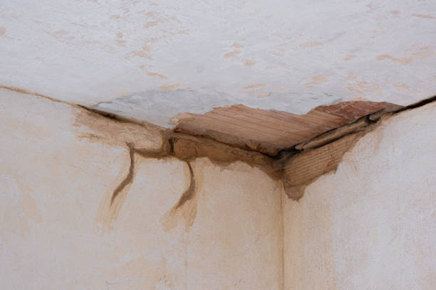 Best Water damage restoration near me  in Dobbs Ferry, NY