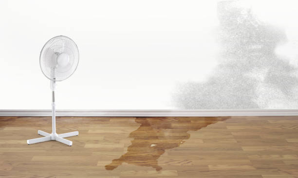 Best Flood damage cleanup  in Dobbs Ferry, NY