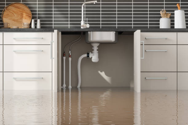Best Commercial water damage restoration  in Dobbs Ferry, NY