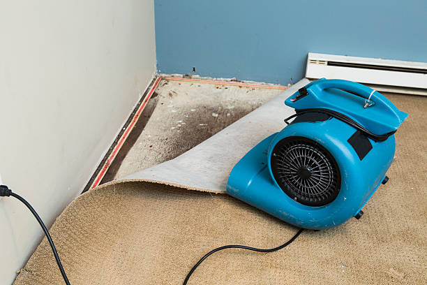 Best Emergency water damage restoration  in Dobbs Ferry, NY